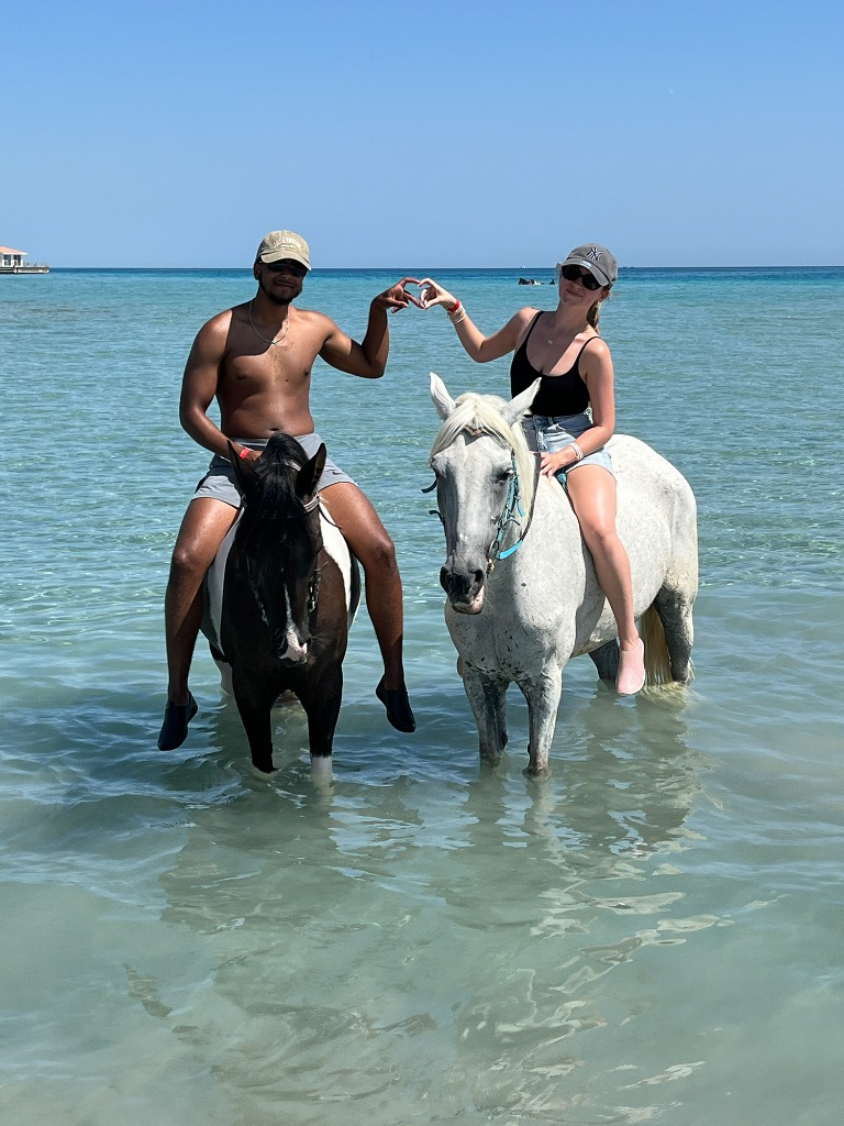 Pferde am Roten Meer Hurghada