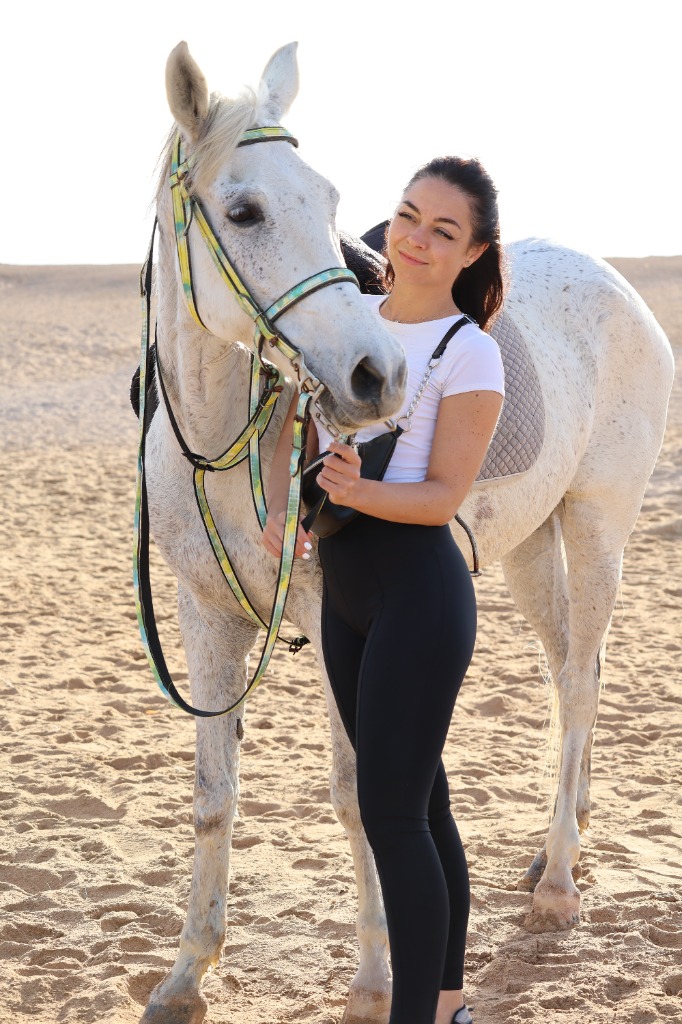 Pferde Wüste Hurghada