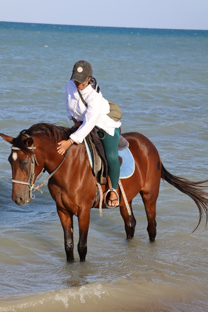 Strandreiten Rotes Meer