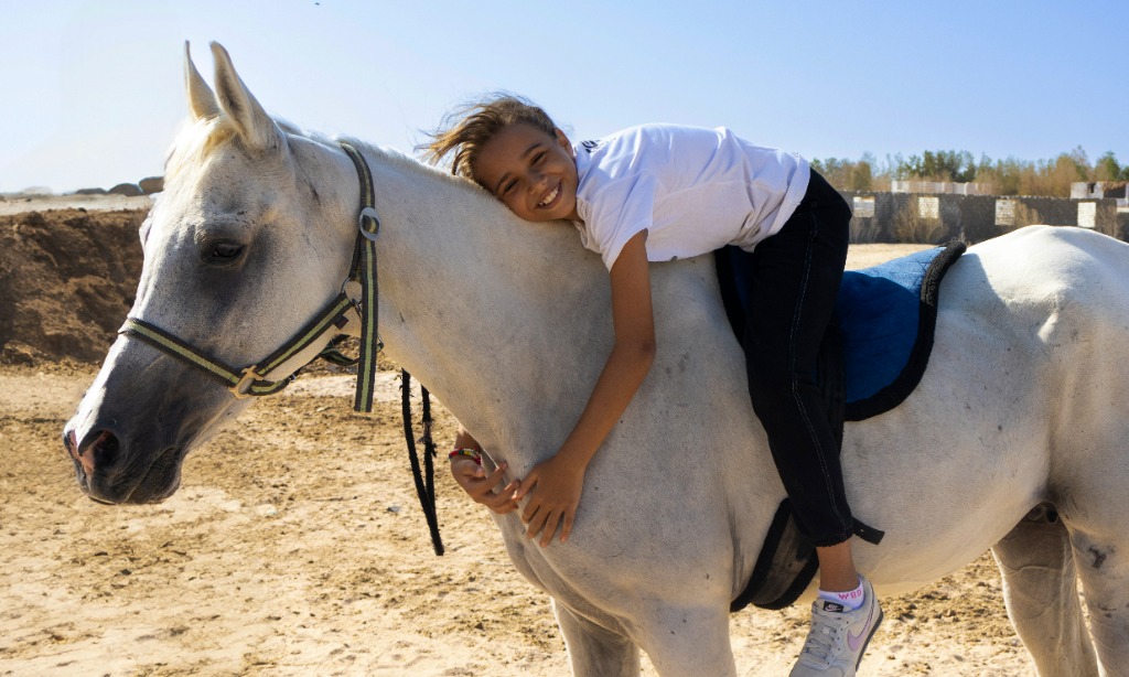 Reiten Ägypten