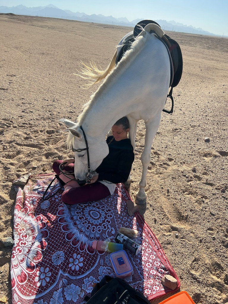 Wüstenabenteuer Pferd