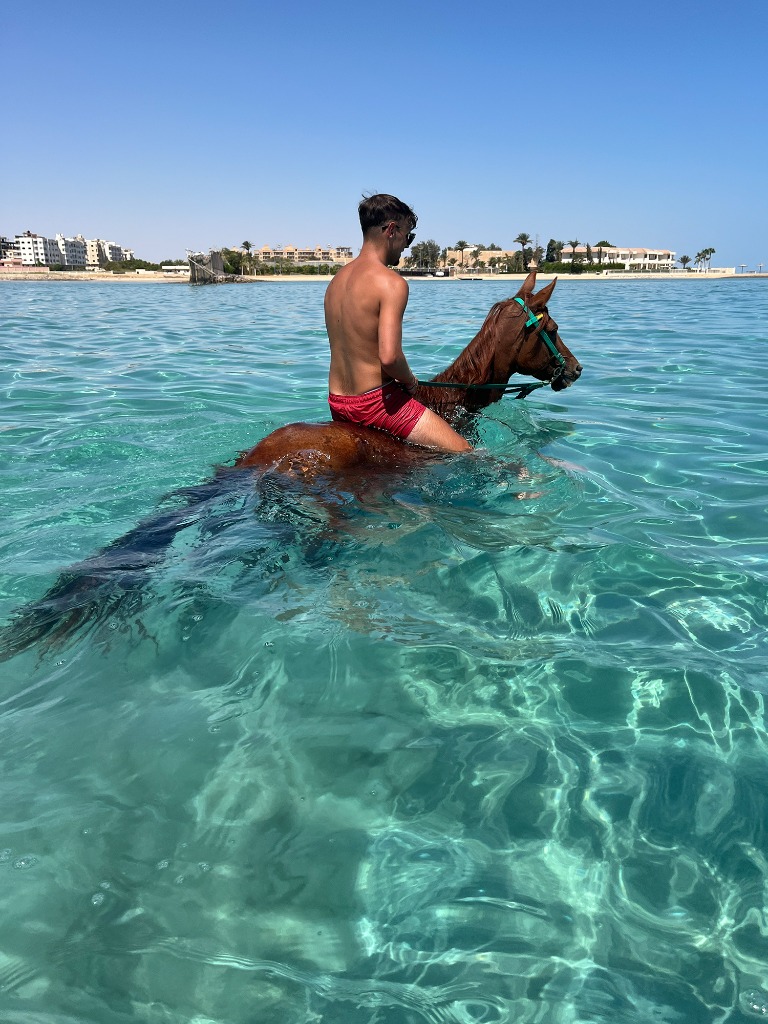 Mit Pferden Schwimmen Hurghada