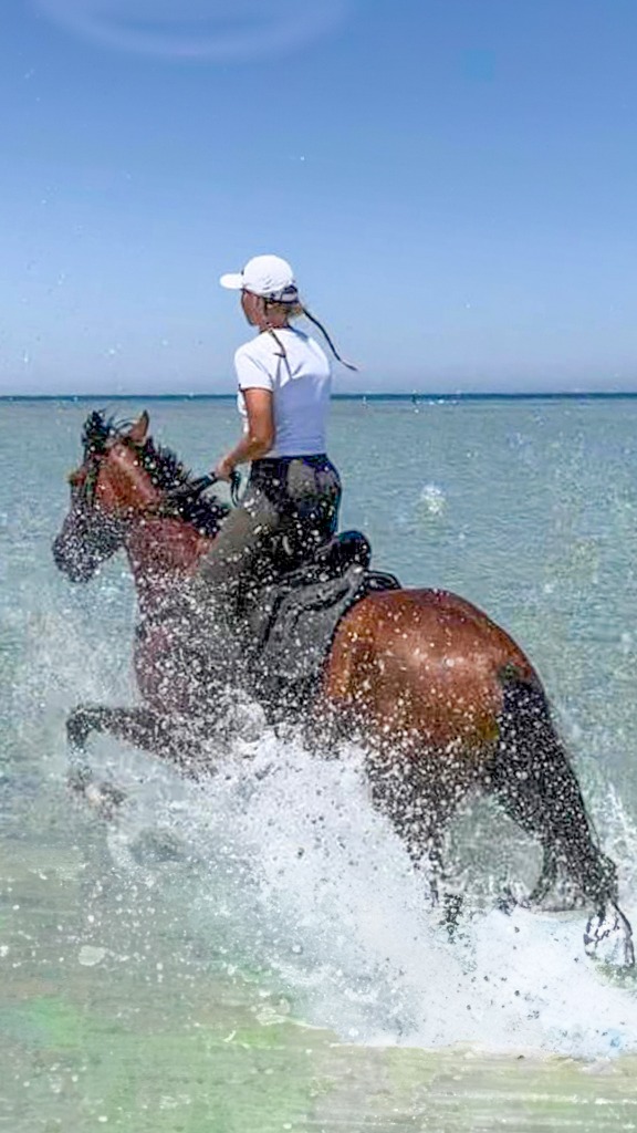 Reiten im Meer Hurghada