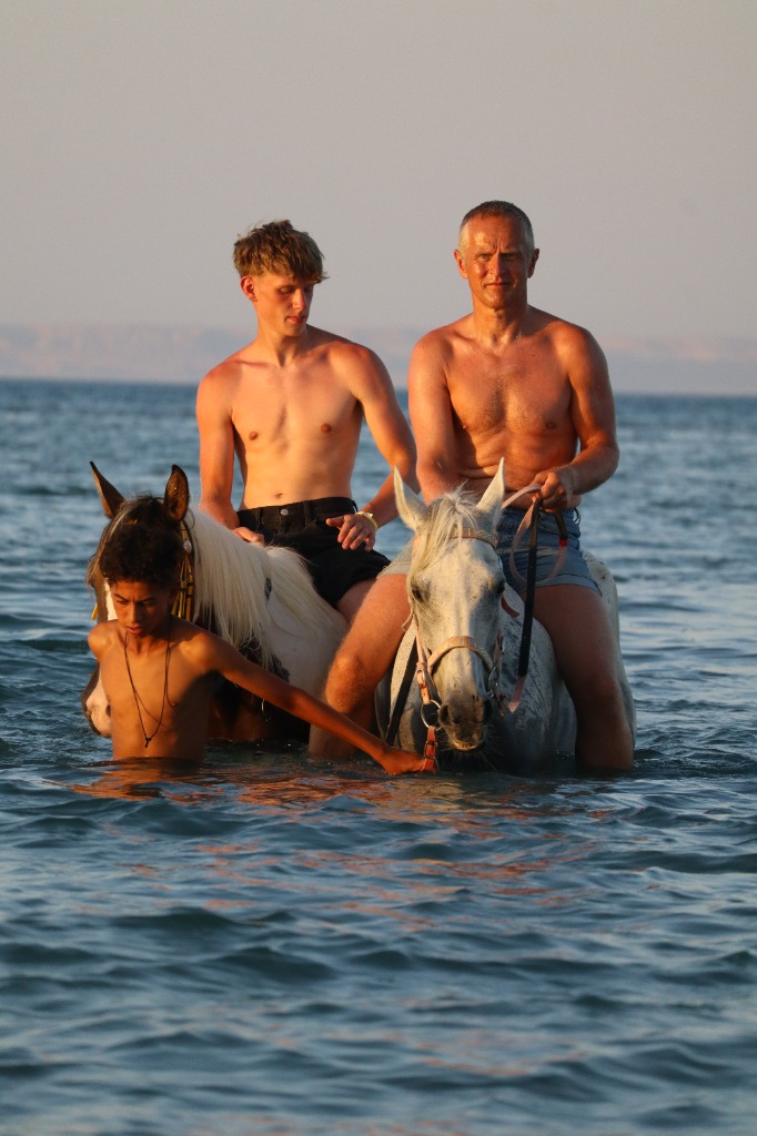 Meer Reiten Pferd Schwimmen