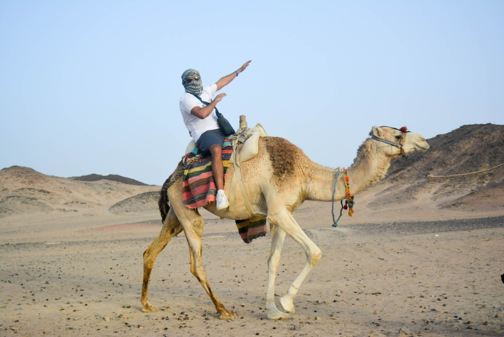 Camel Riding Safari