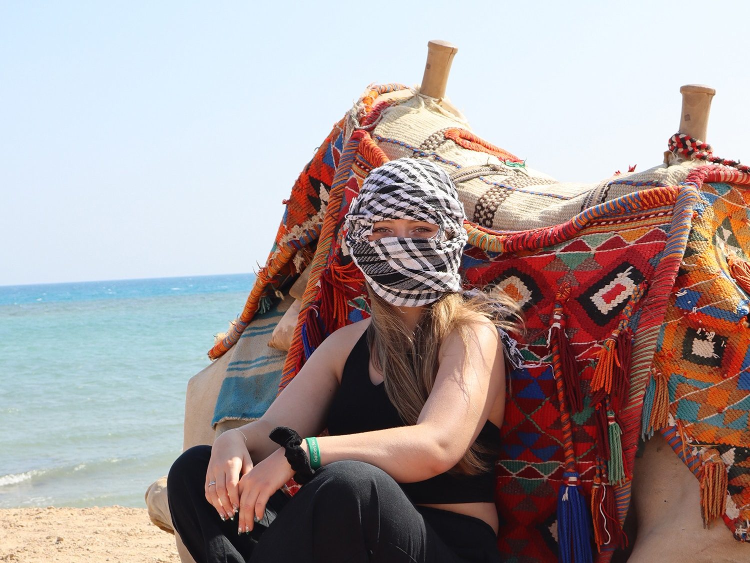 Camel riding experience with view over the Red Sea