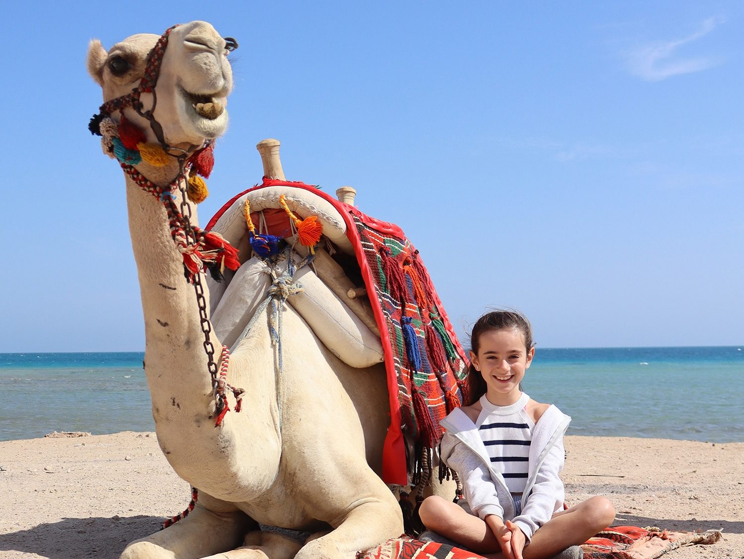 Guests riding camels during a desert tour in Hurghada