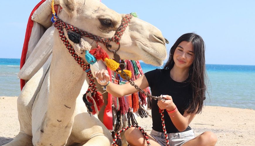 Unforgettable Camel Riding Adventure in Hurghada