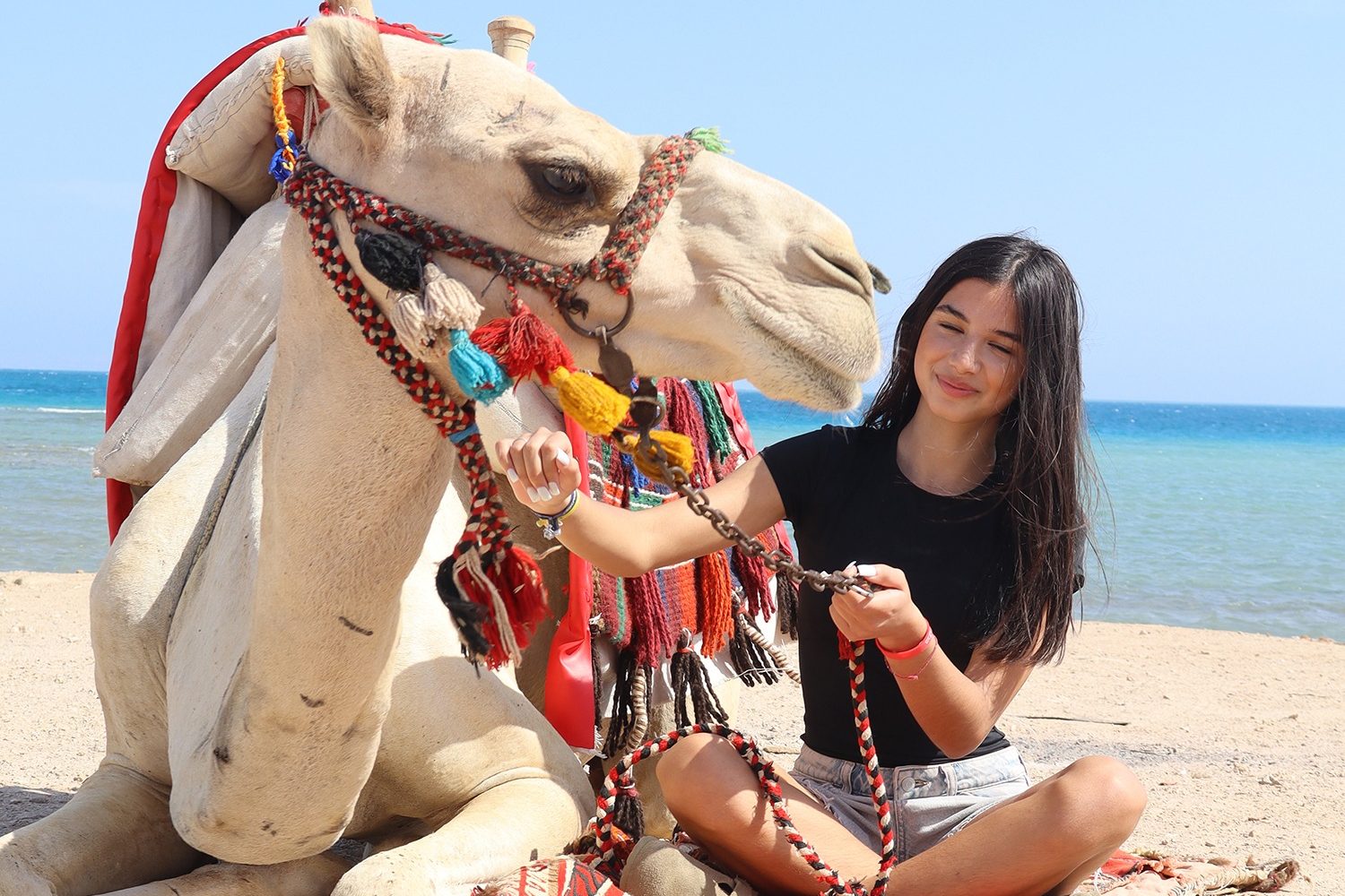 Camel riding 1h