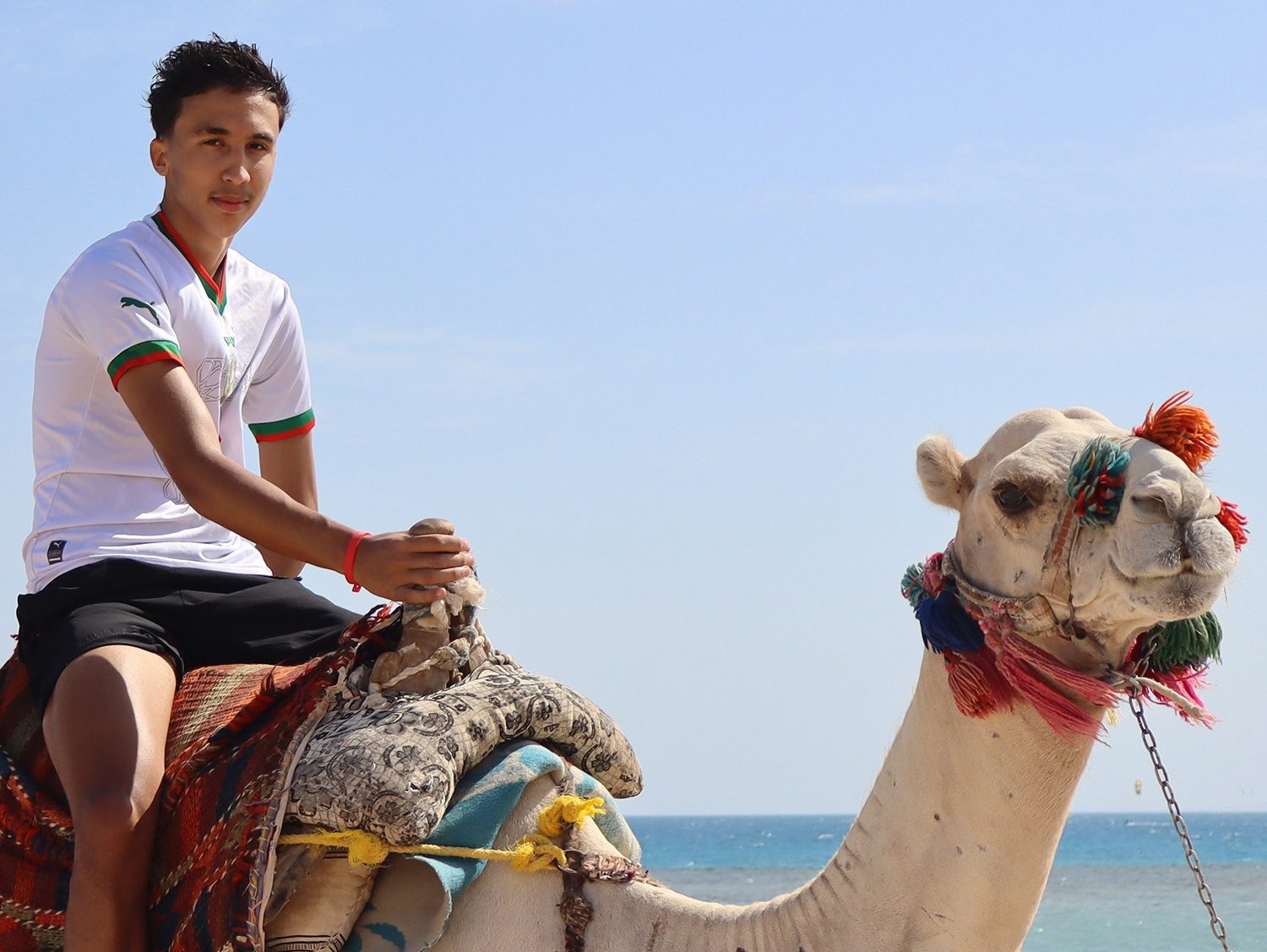 Camel caravan in the desert near Hurghada