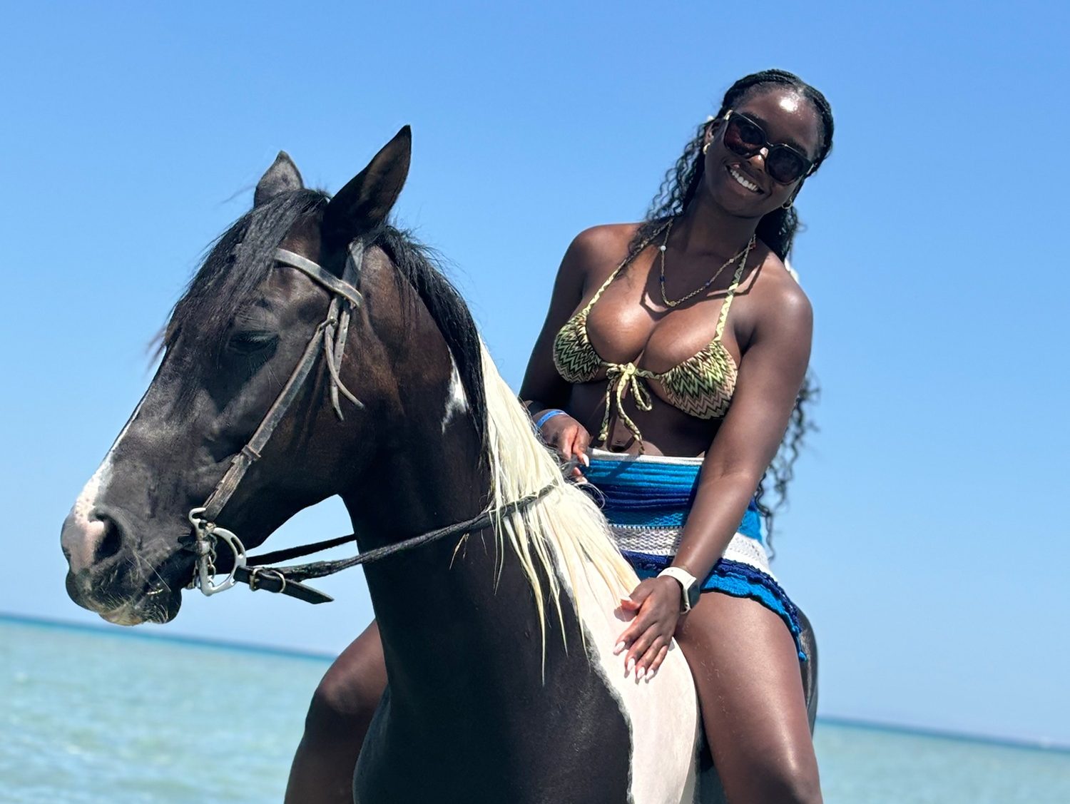 Holiday photo of swimming with horses in Egypt