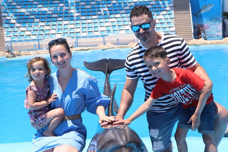 Dolphin Show (optional: Swimming and Photos)