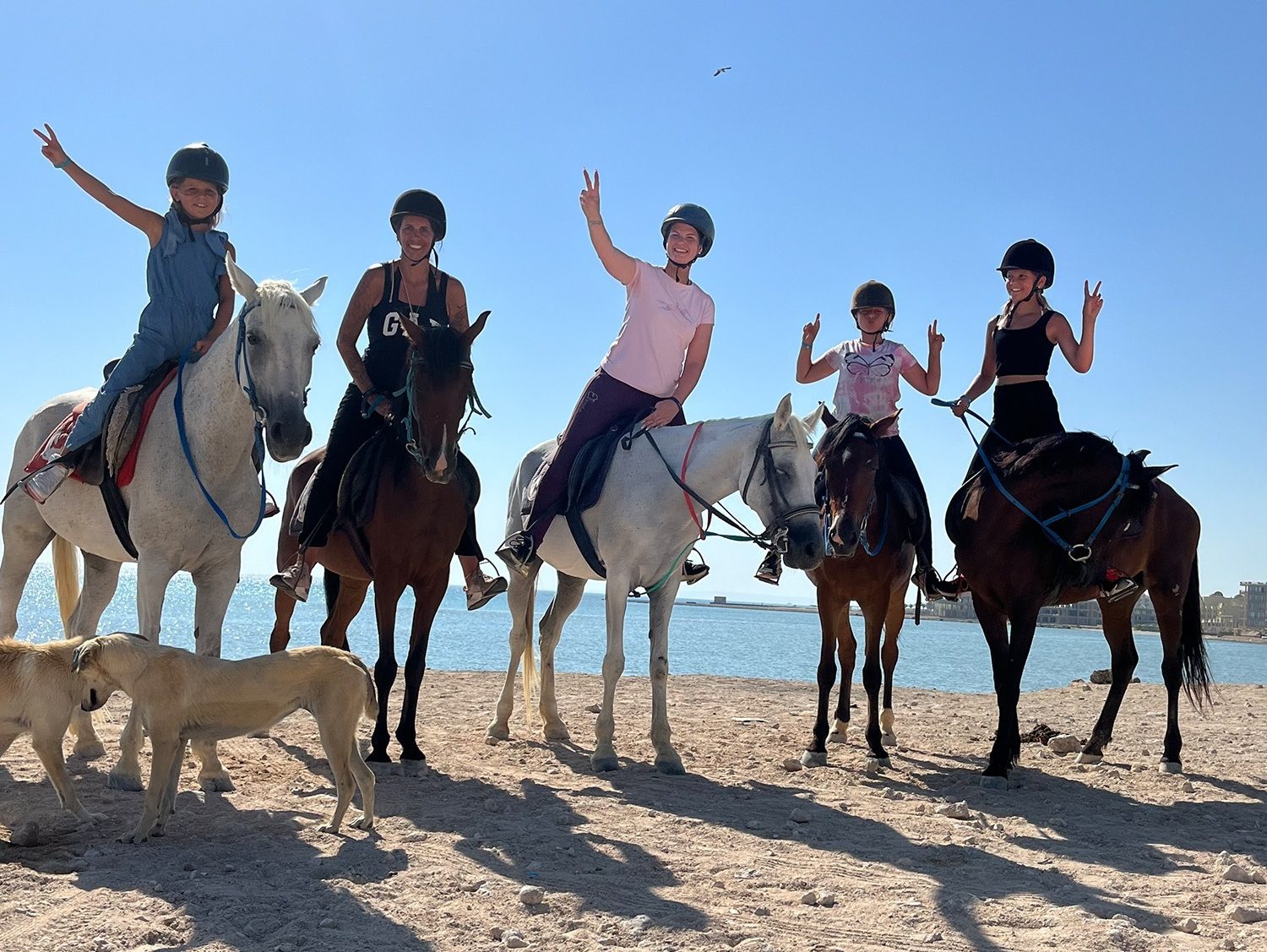 Rider leading a horse into the water