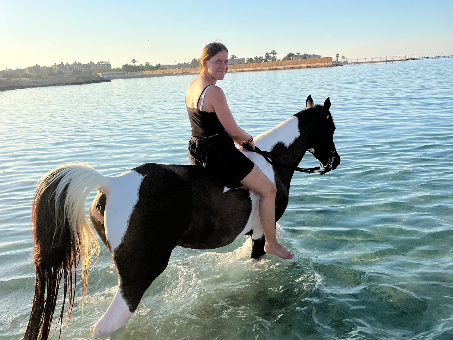 Guests riding horses into the Red Sea