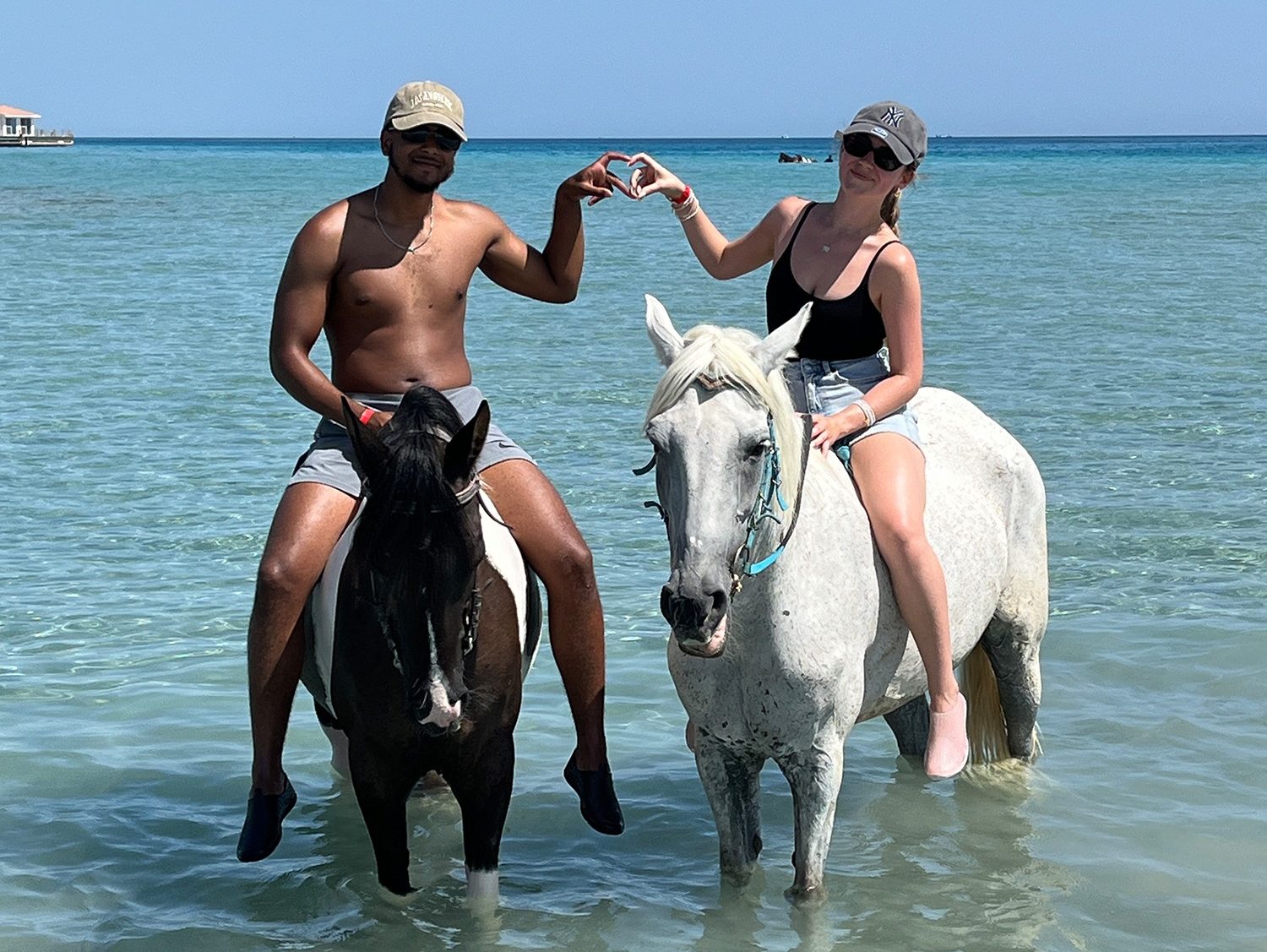 Horse swimming experience at the Red Sea shore