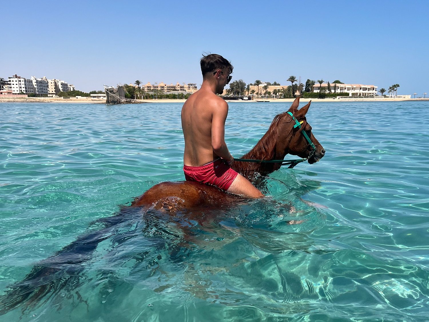 Horse riding along the beach in Hurghada