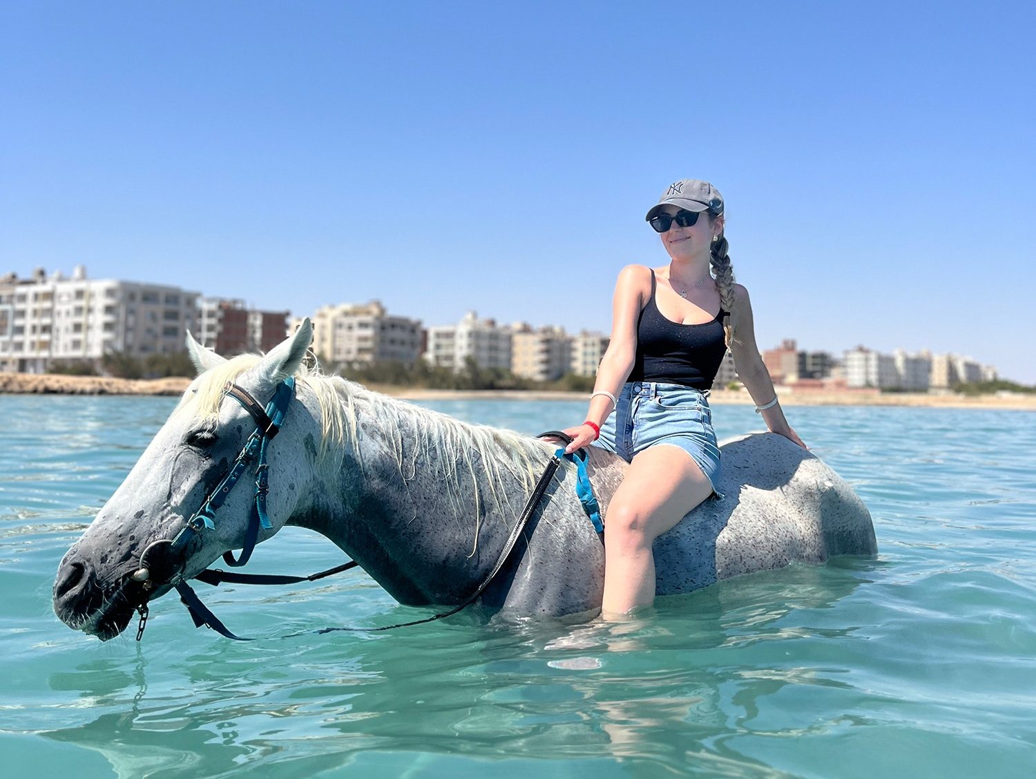 Horses entering the Red Sea during a swimming tour