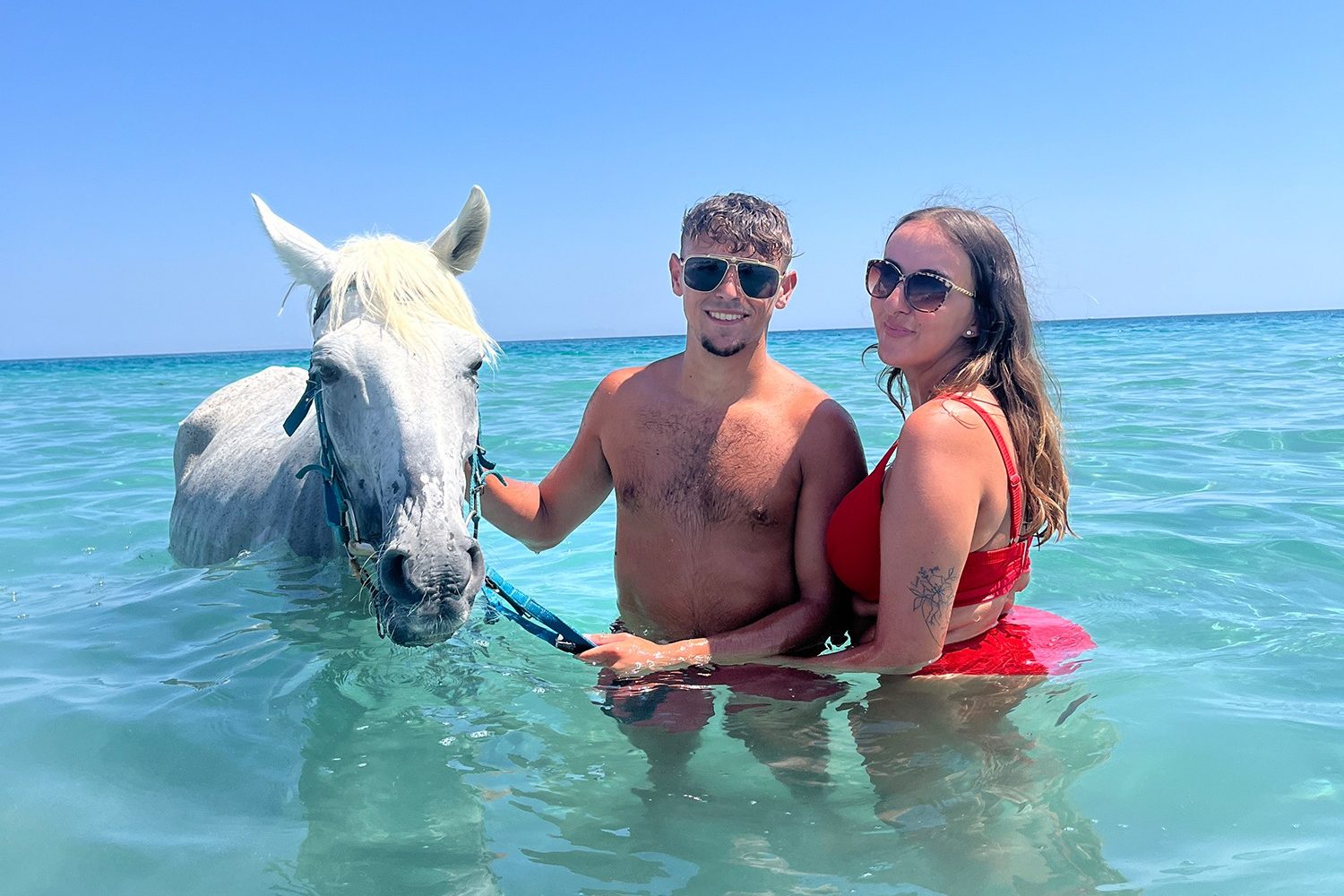 Swim with horses