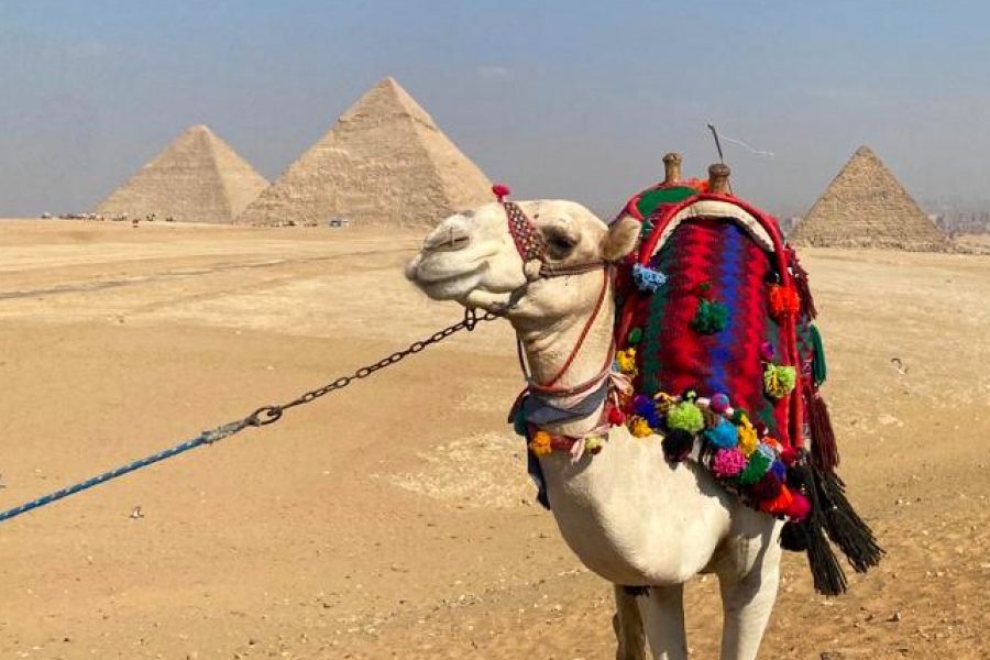 Cairo VIP: Giza Pyramids, Sphinx and Egyptian Museum