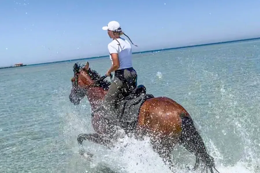 Horse Riding: Swimming