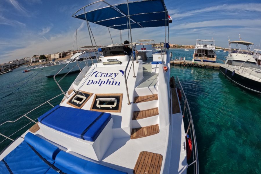 Private Yacht with Snorkeling: Dolphin House OR Orange Bay