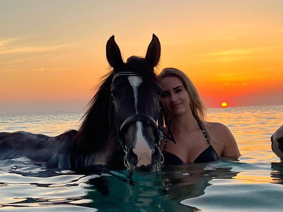 Guests enjoying Latenda Nights swimming with horses in Hurghada