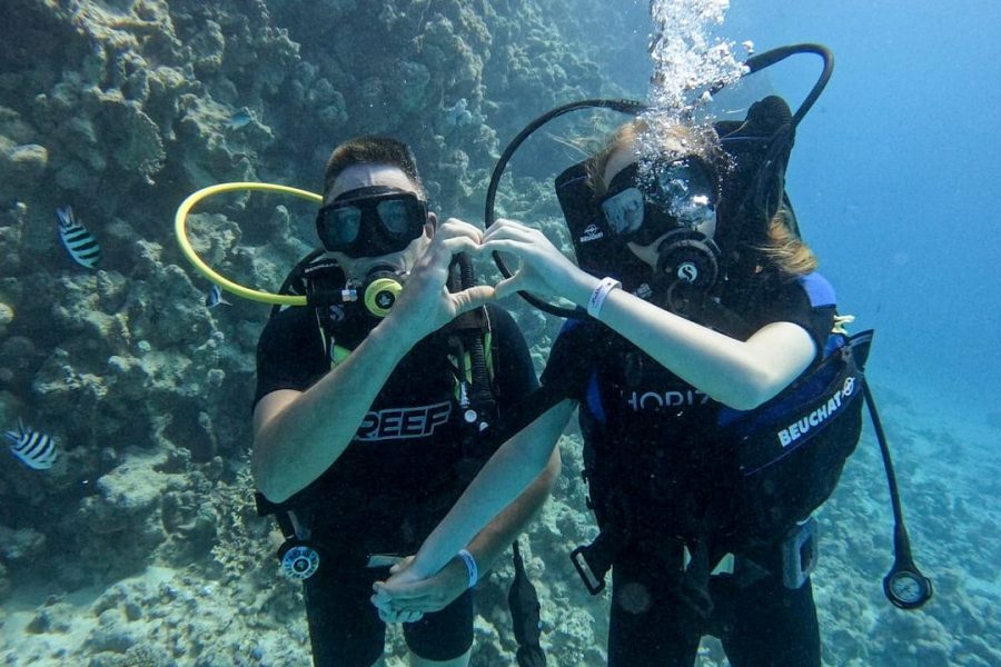 Diving for Beginners including Instructor